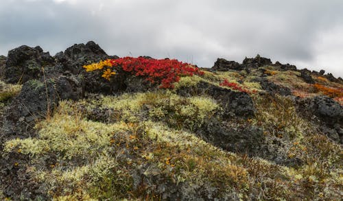 Foto profissional grátis de colinas, erosão, formações geológicas