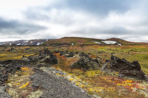 Free Scenic view of rocky terrain with colorful vegetation under a cloudy sky. Stock Photo