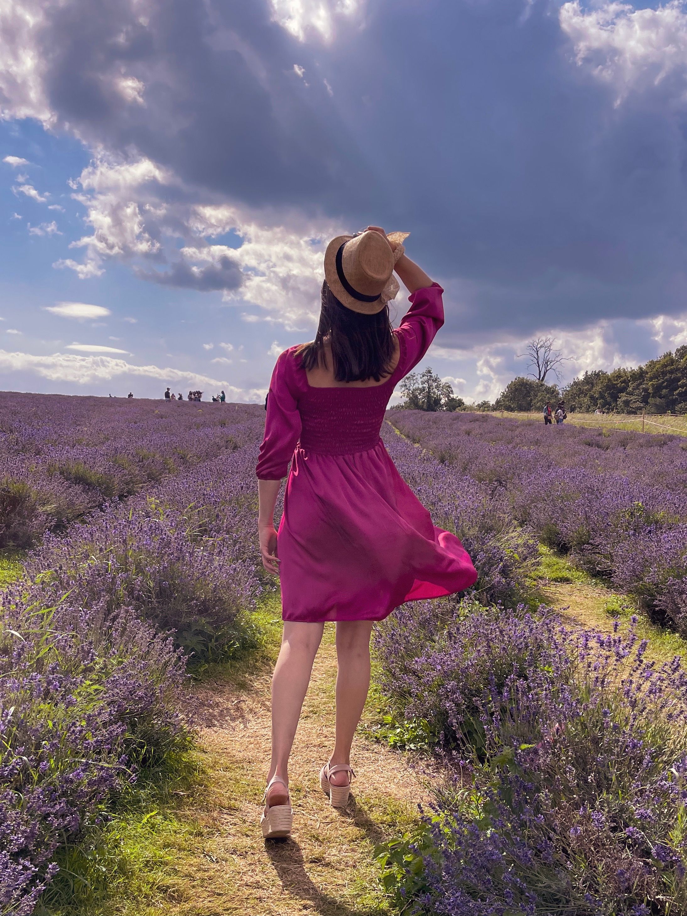 Woman Standing on a Lavender Field · Free Stock Photo