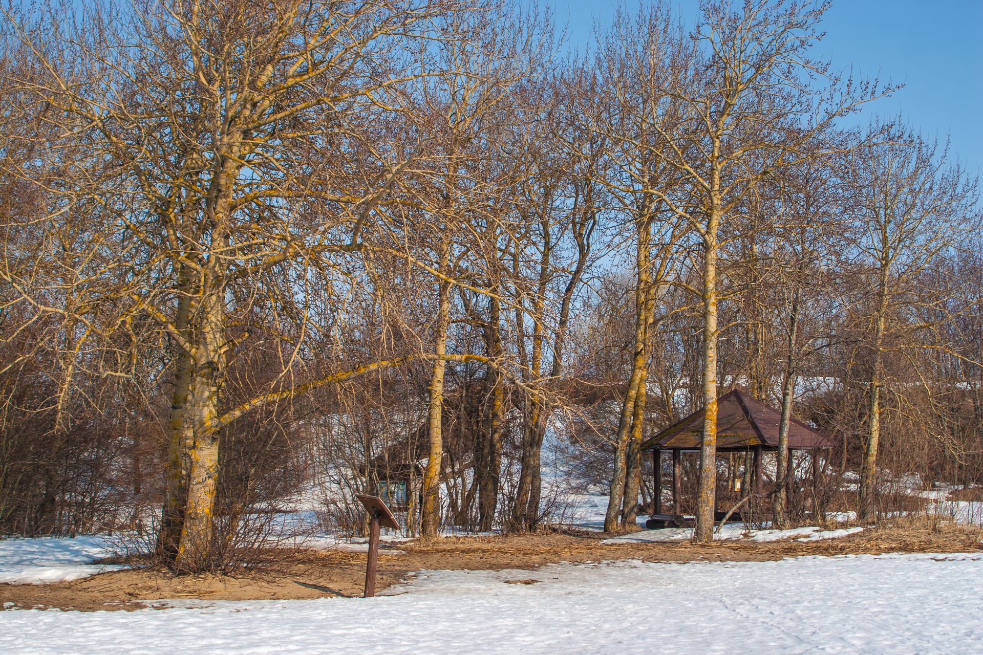 A tranquil winter scene with a wooden gazebo surrounded by leafless trees and snow-covered ground.