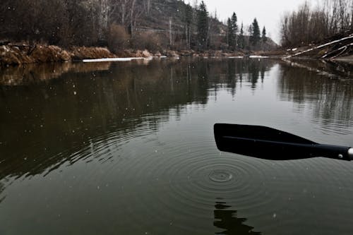 Free Paddle Above Lake Water Stock Photo
