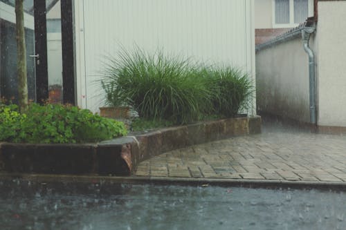 下雨, 光, 原本 的 免费素材图片