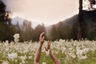 Unrecognizable Hands Raised in Flowery Mountain Meadow