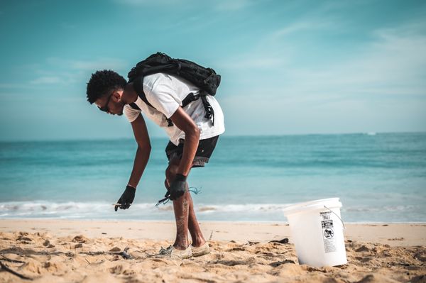 Volunteering on the South Coast: An Honest Guide