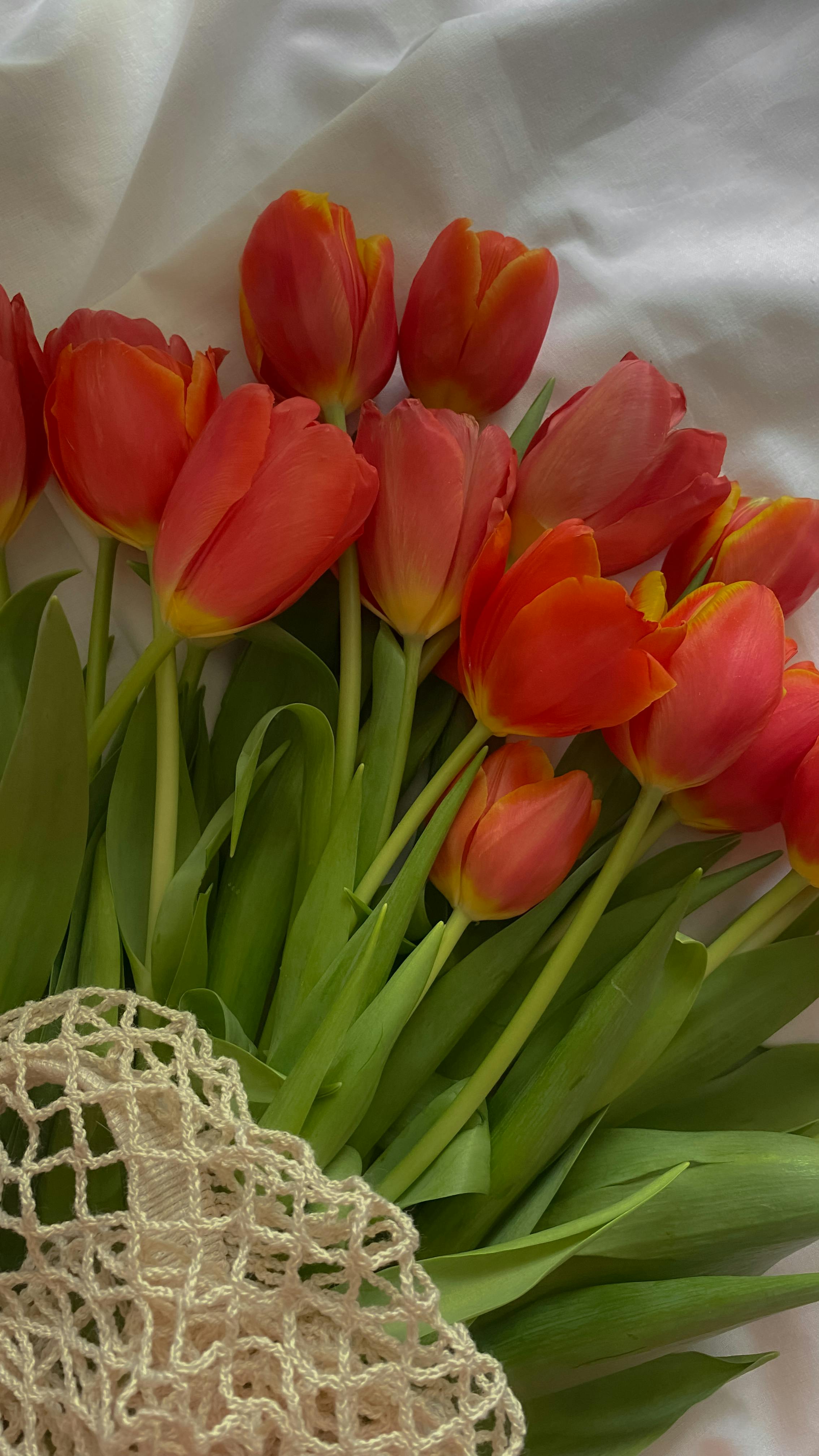 Flor Vintage Para Decoracion De Jardín, Letrero De Metal Retro, Arte De Pared Para El Hogar, Mural, Letrero De Taño, Decoración De Habitación, Placa, Regalo, Pintura De Granja - AliExprs