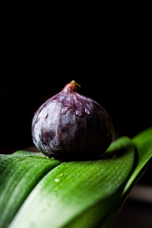 Free Fig Fruit on Top of a Green Leaf Stock Photo