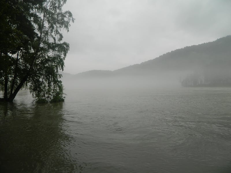 Multi-strand Bead Neckpiece detail