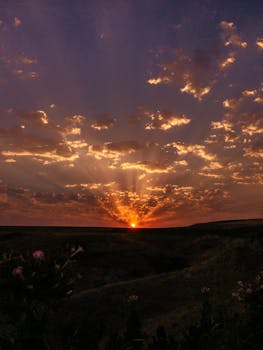 A beautiful sunrise with dramatic clouds over an open field, casting warm golden hues.