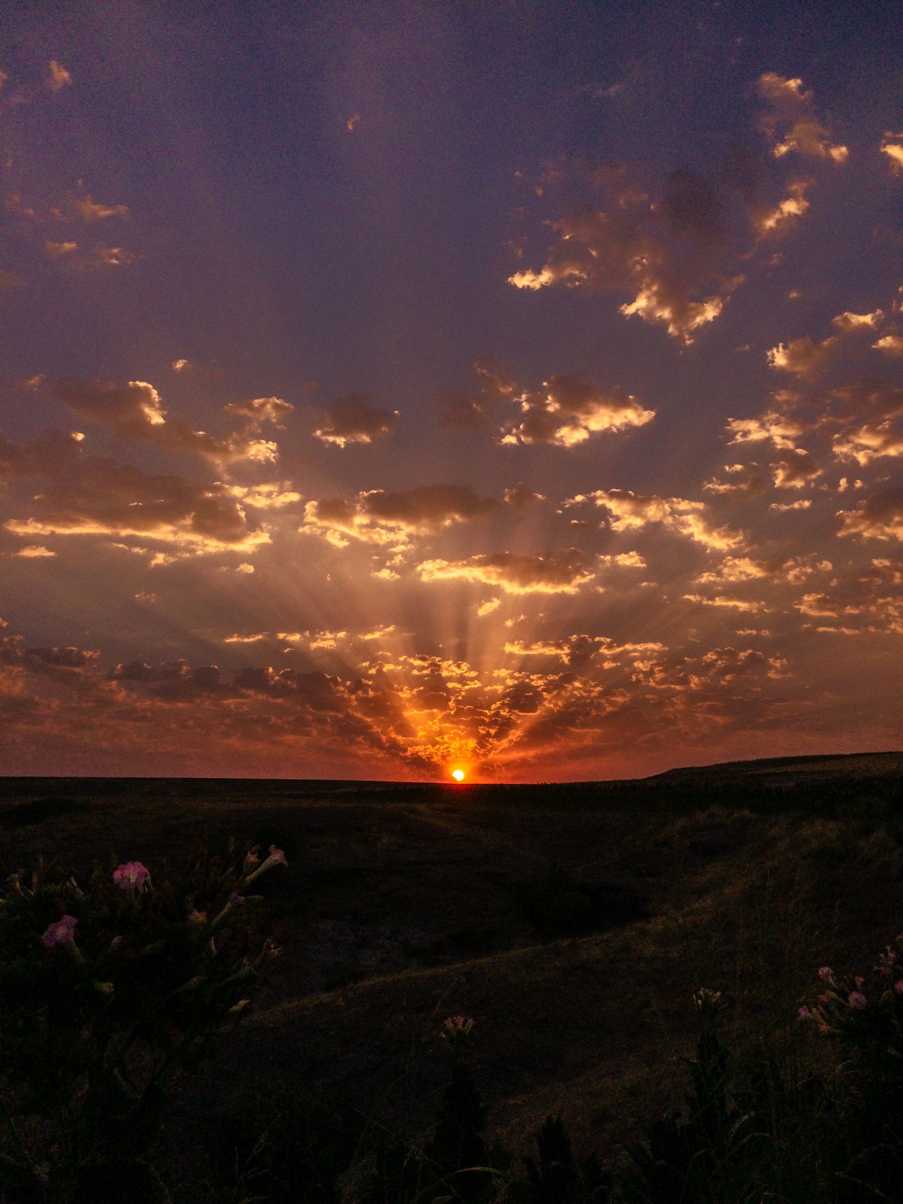 Golden sunrise opening over a wide field