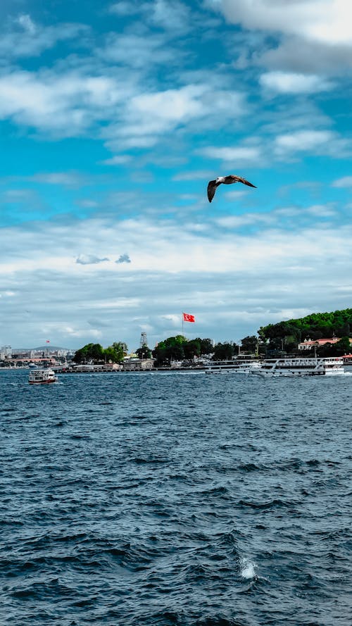 Kostenloses Stock Foto zu fliegen, himmel, istanbul