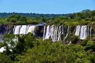 Waterfalls in the Middle of Green Trees