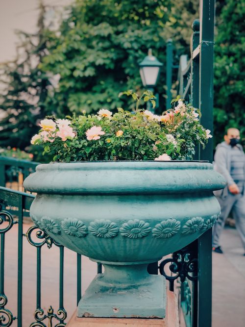 Free Ornate garden pot filled with colorful flowers on an urban fence in a lush outdoor setting. Stock Photo