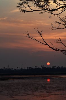 Peaceful sunset scene with reflection over a calm lake and silhouetted branches.