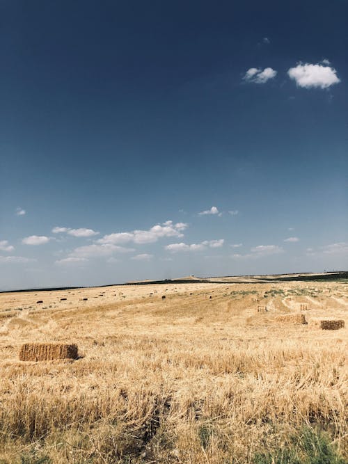 Kostenloses Stock Foto zu blauer himmel, draußen, hayfield