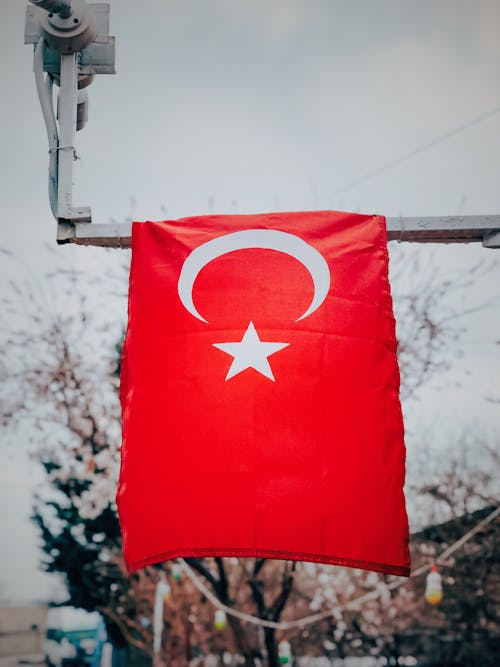 Kostenloses Stock Foto zu flagge, nahansicht, truthahn