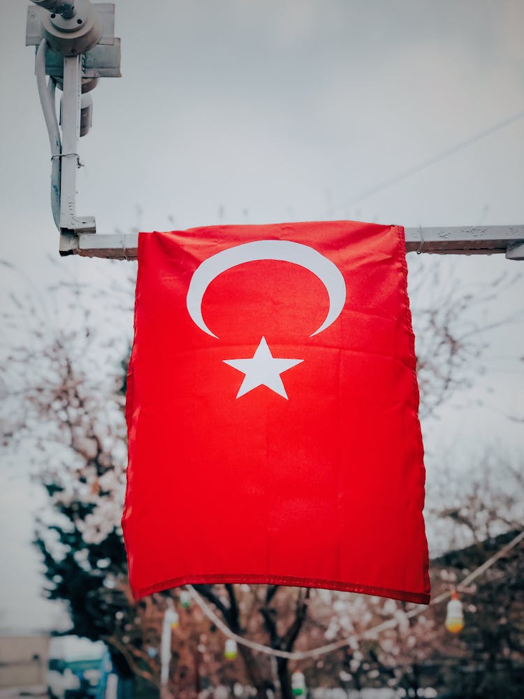 The Flag Of Turkey 