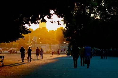 People Walking at the Park during Sunset