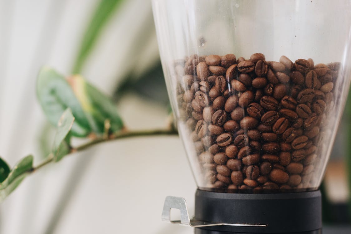Coffee Beans in a Coffee Grinder
