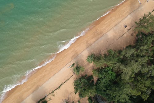 Aerial View of Body of Water