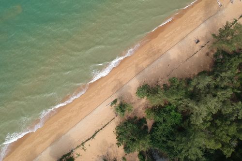 Free A stunning aerial shot capturing golden sands and lush greenery alongside emerald waves at the beach. Stock Photo