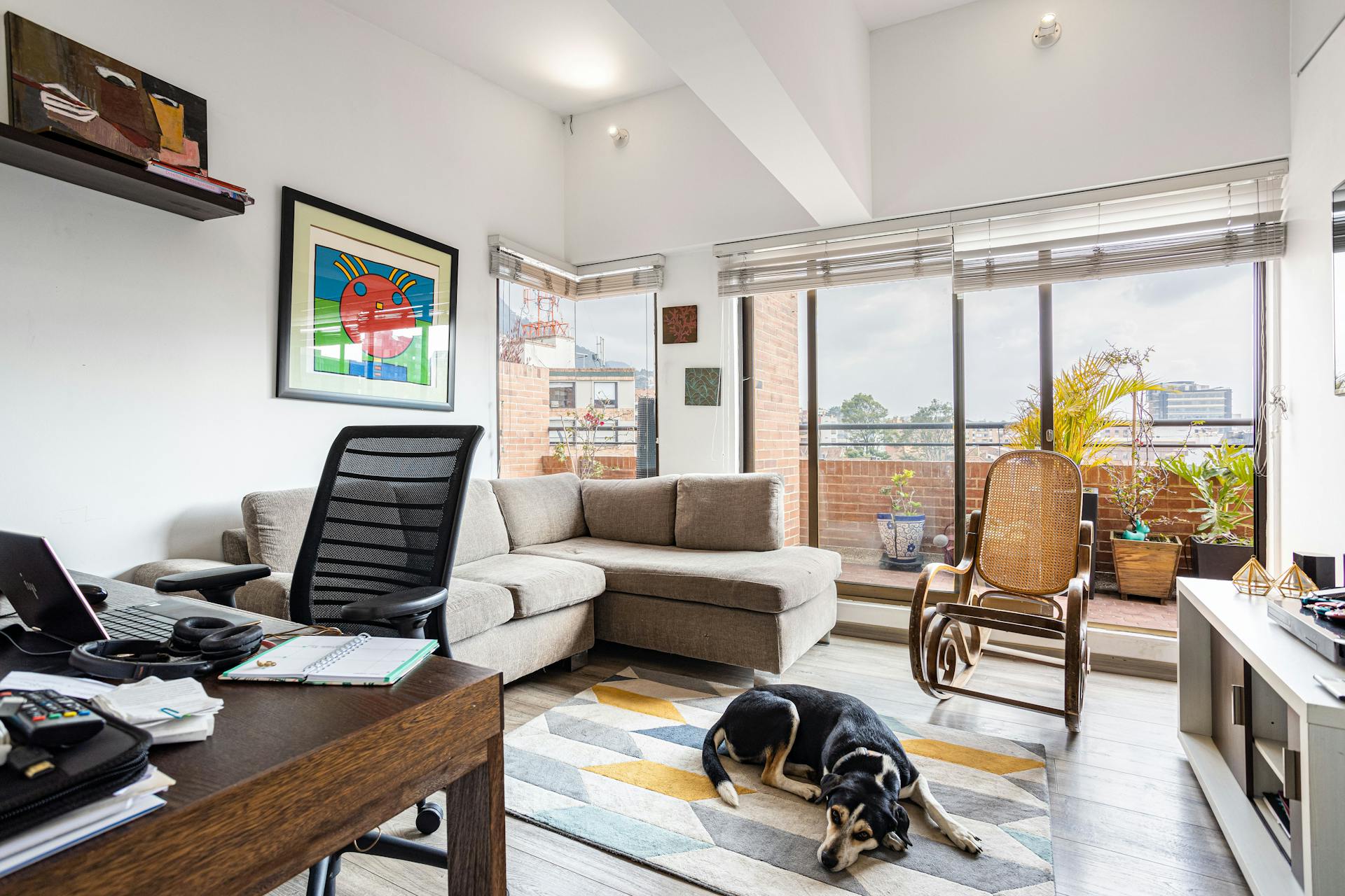 A Dog in an Apartment Living Room