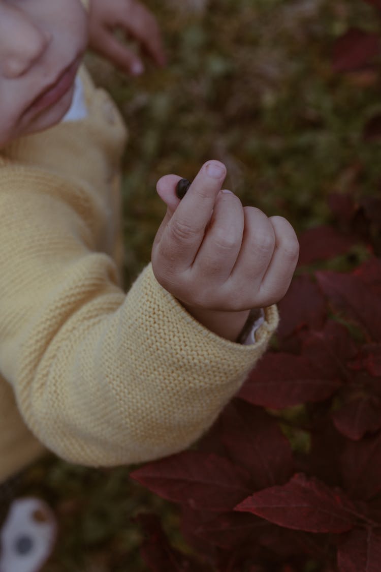 A Child Holding A Flower