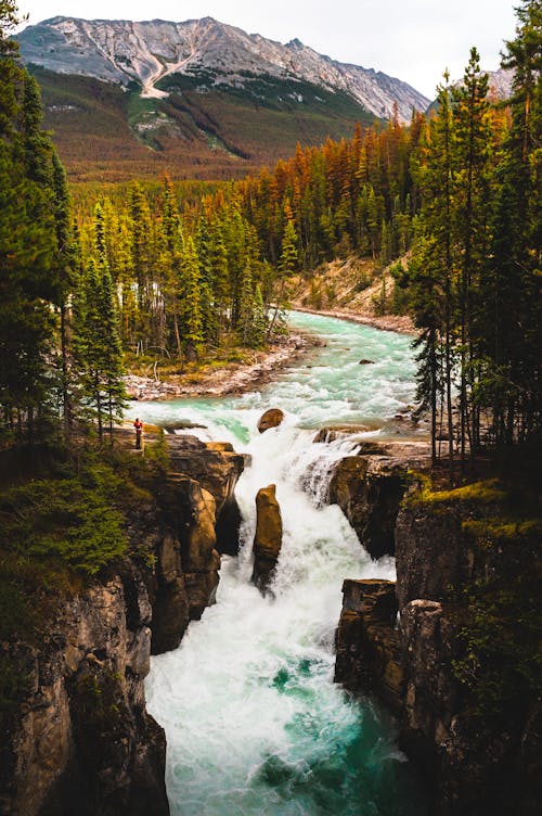 Ingyenes stockfotó Alberta, banff nemzeti park, vízesés témában