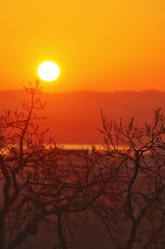 A beautiful sunset scene with leafless tree branches silhouetted against a vibrant orange sky.