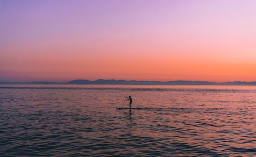 Gratis lagerfoto af gylden time, hav, paddleboarder