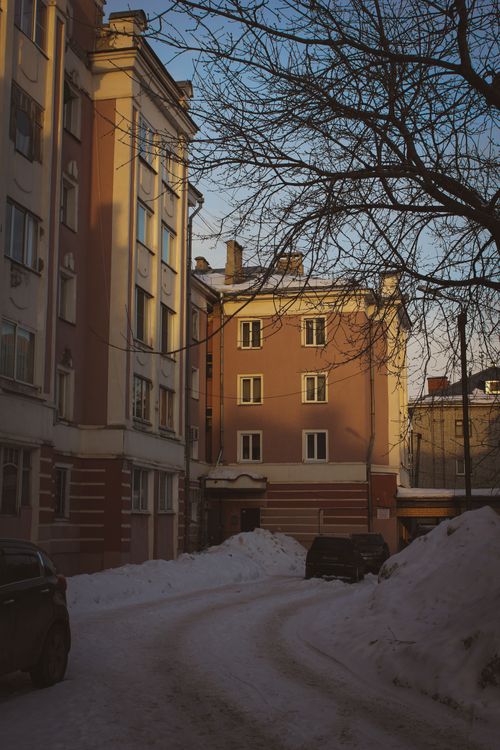 Free A quiet urban street in winter, framed by bare trees and residential buildings under a clear sky. Stock Photo