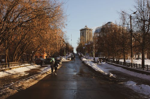 감기, 거리, 겨울의 무료 스톡 사진