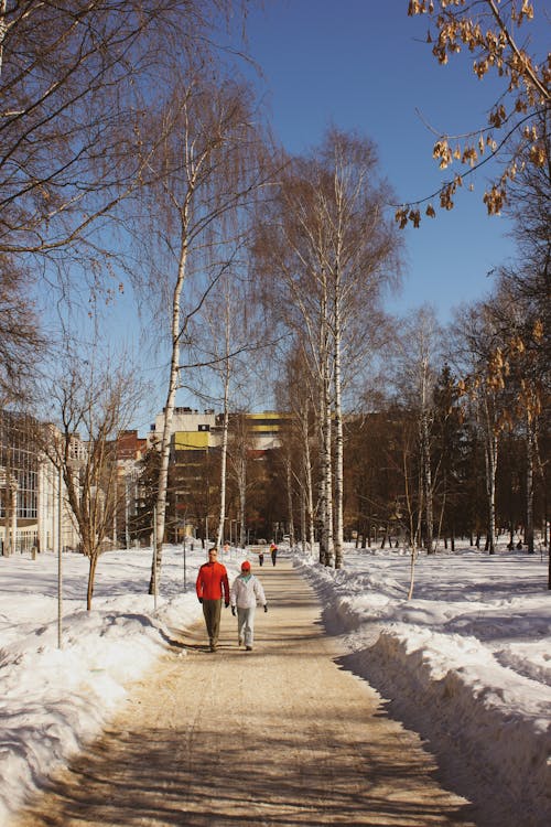 Two People walking in an Unpaved Pathway 