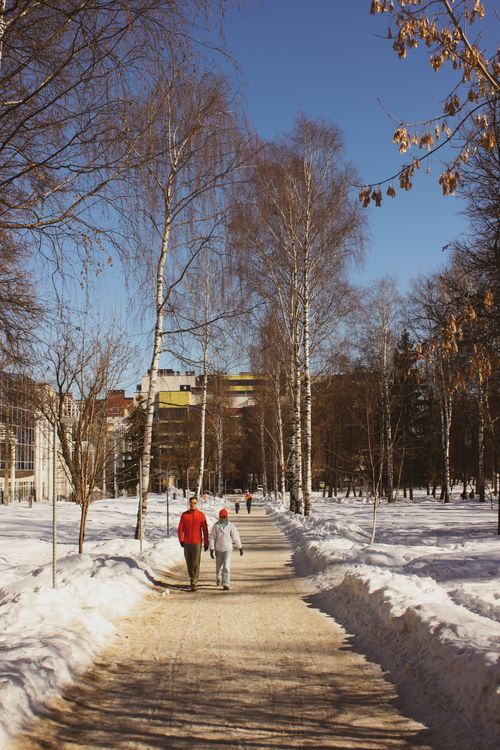 Free Two people walking along a snowy park path lined with bare trees against a clear blue sky. Stock Photo
