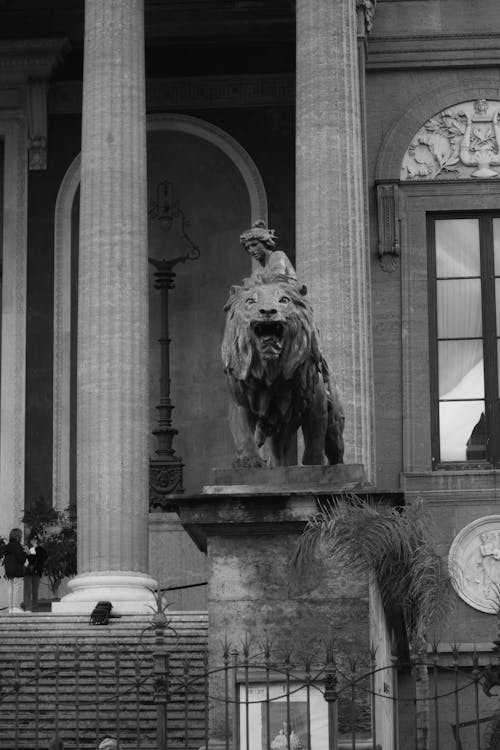 Photos gratuites de colonnes, échelle des gris, lion