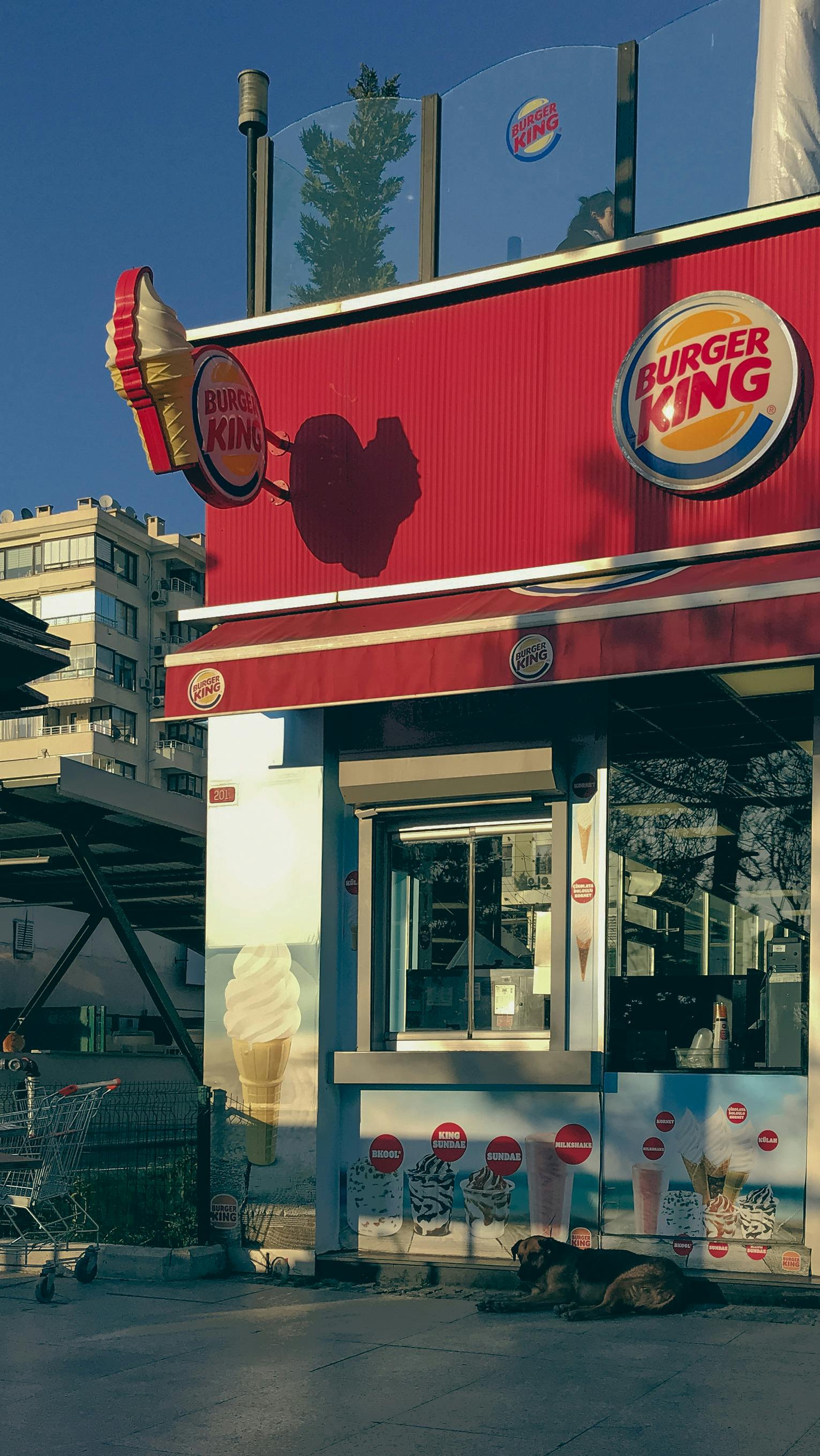 Burger King Photos, Download The BEST Free Burger King Stock Photos & HD  Images