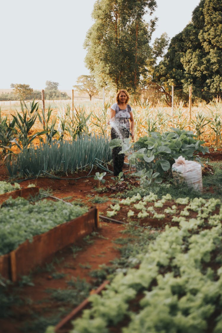 Woman Watering Vegetable Garden