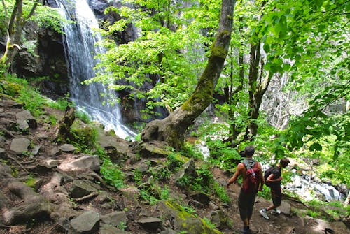 Immagine gratuita di cascata, escursione, foresta