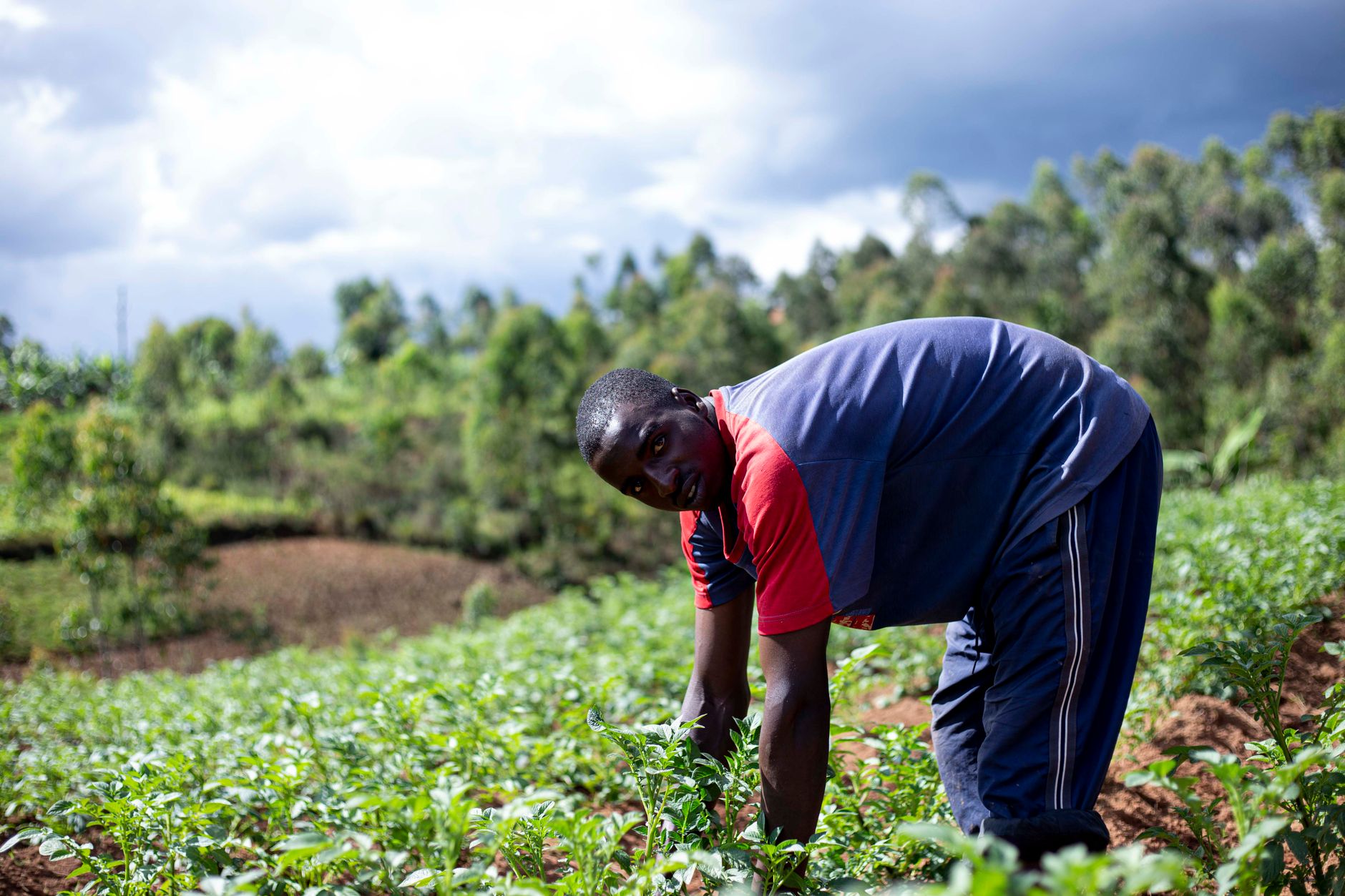 Formation d'un technicien agricole en champ