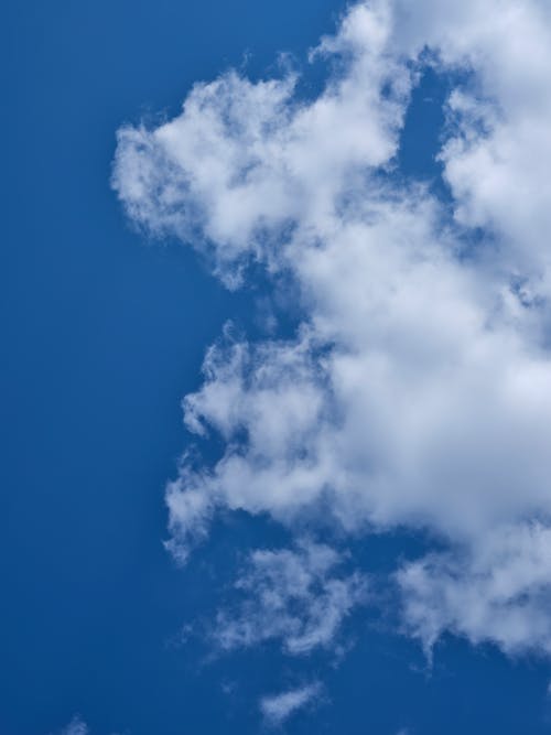 垂直拍攝, 天空, 毛茸茸的 的 免費圖庫相片