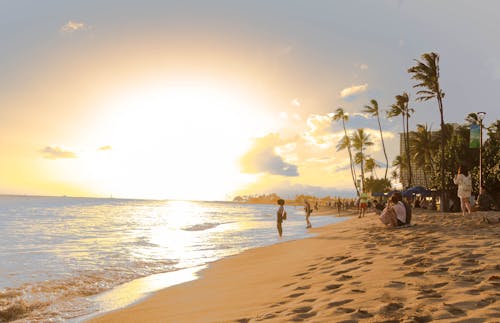 Ingyenes stockfotó arany naplemente, hawaii, naplemente témában