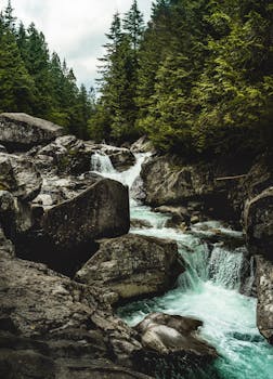 Beautiful waterfall cascading through rocks in a lush forest in British Columbia, Canada.