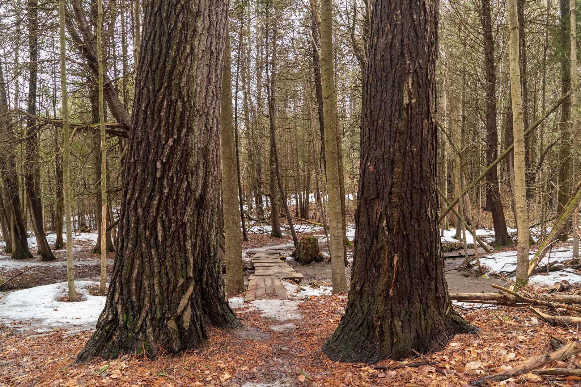 La route bleue - Rivière Châteauguay - Ormstown - Saint-Martine (débutant)