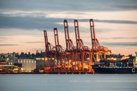 Silhouette of Crane Near Body of Water during Sunset