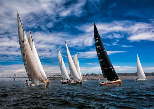 Dynamic image of sailboats racing under blue skies on a scenic lake, showcasing sailing as a thrilling water sport.