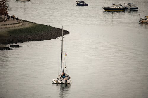 Watercrafts near Shore