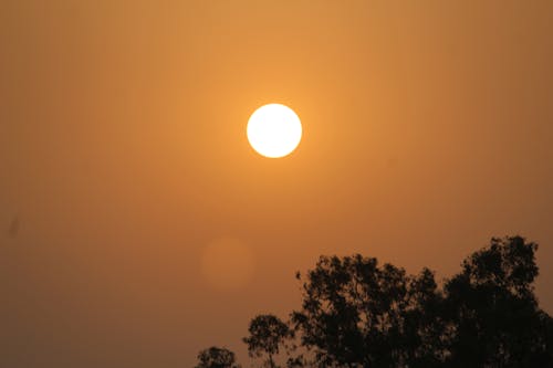 夕日, 太陽, 日没の無料の写真素材