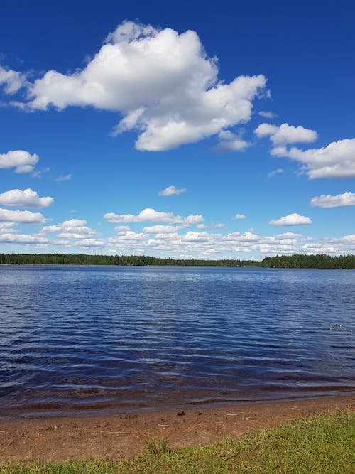 Free stock photo of cloud, water