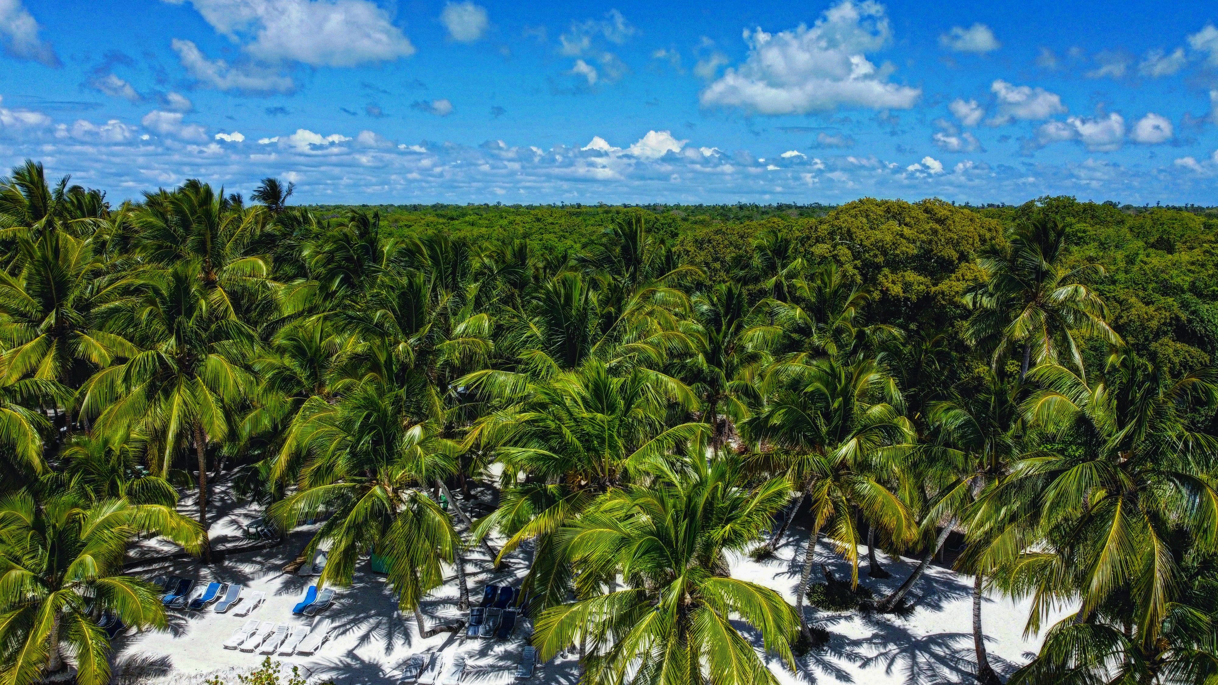 Dominica: RSE hotelera que apoya resiliencia climática y conservación de bosques