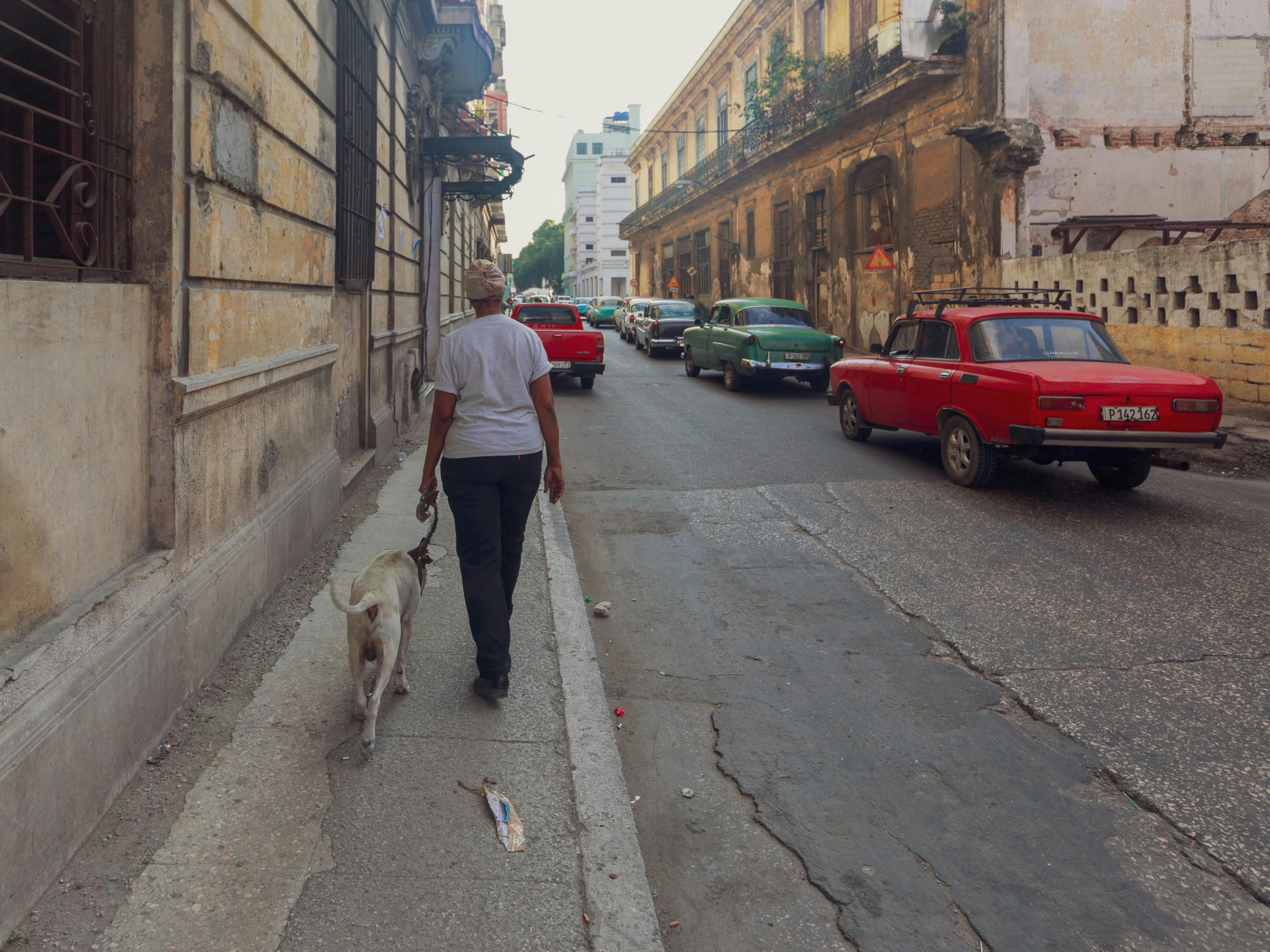 A person walks a dog along a vintage street lined with classic cars and old buildings.