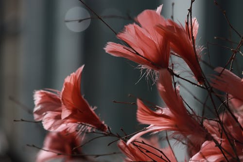 Close-Up Shot of Red Plastic Flowers